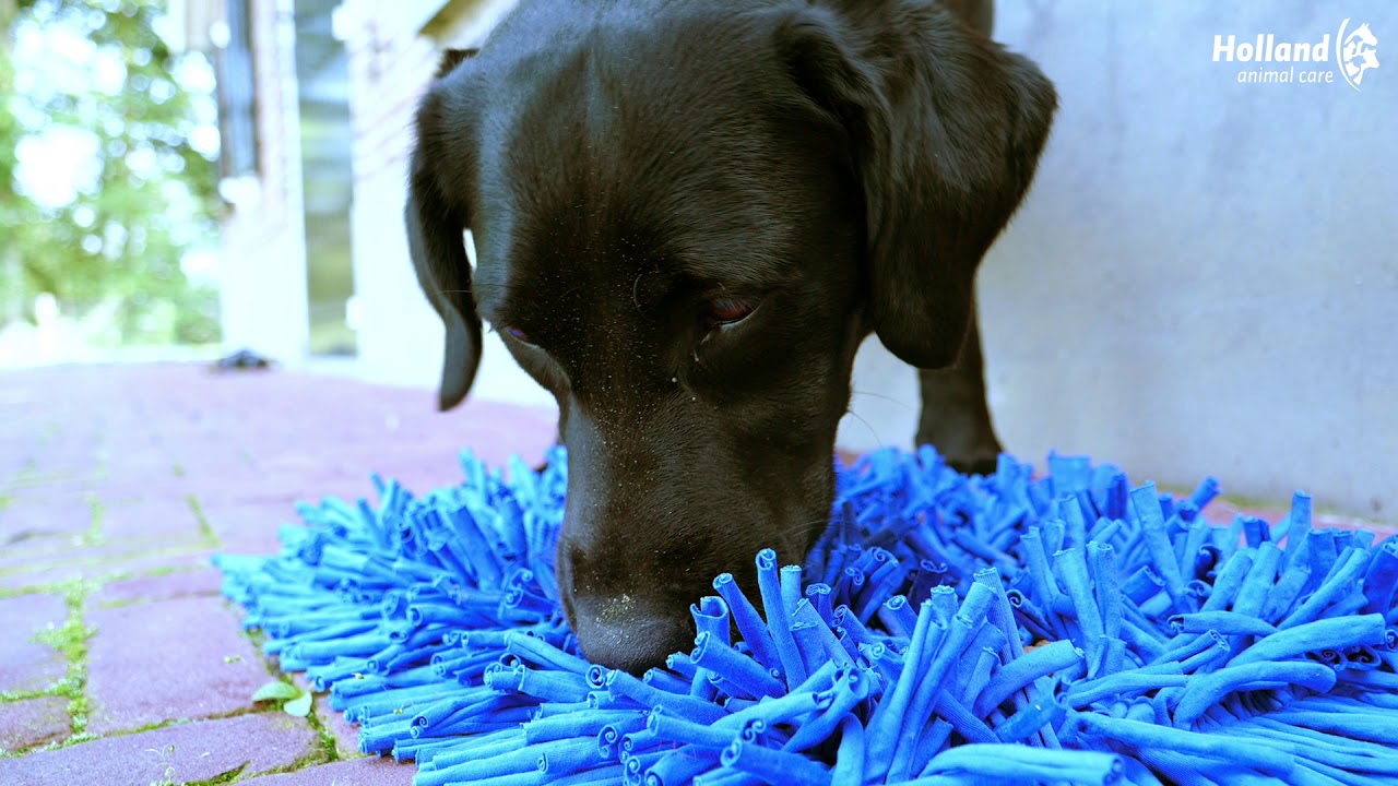 Eat Slow Live Longer Play Mat Rosa