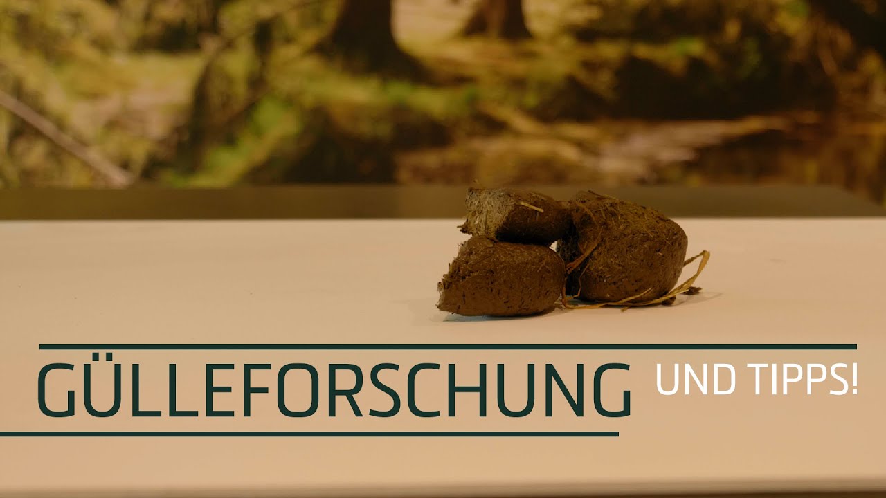 Excellent Horse Herbs Spitzwegerich-Saat 1,2 kg