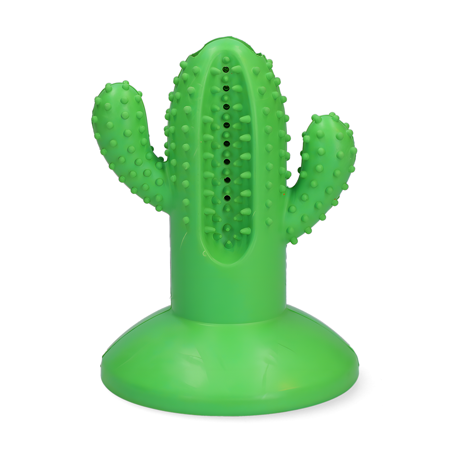 AFP Dental Chews - Dental Cactus L Grün by Hoffreund