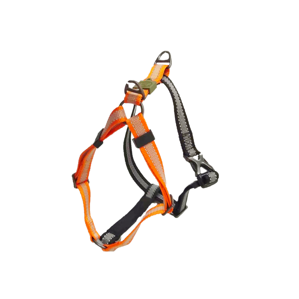 AFP Off Street - Dog Non-Pull Harness Mandarine M by Hoffreund
