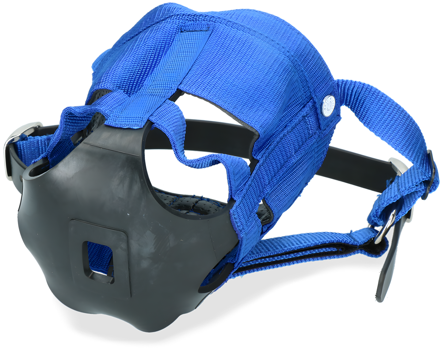 The Ultimate Muzzle Shetland