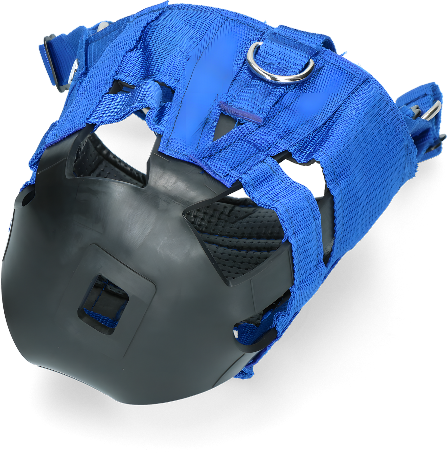 The Ultimate Muzzle Pony