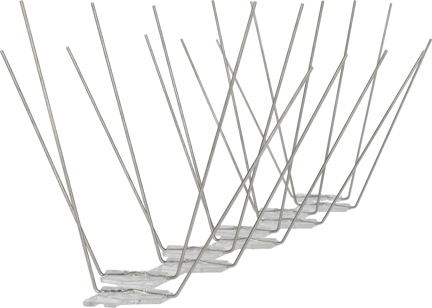 Avipoint Vogelspikes Taube P20