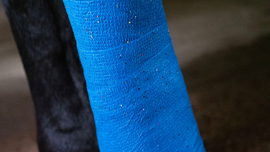 Excellent Animal Glitter Bandage Pro 10 cm - Blue