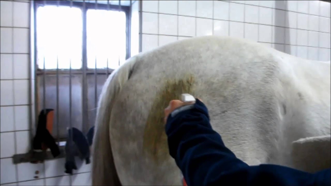 Excellent Horse Hi Gloss Clean Spray 500 ml