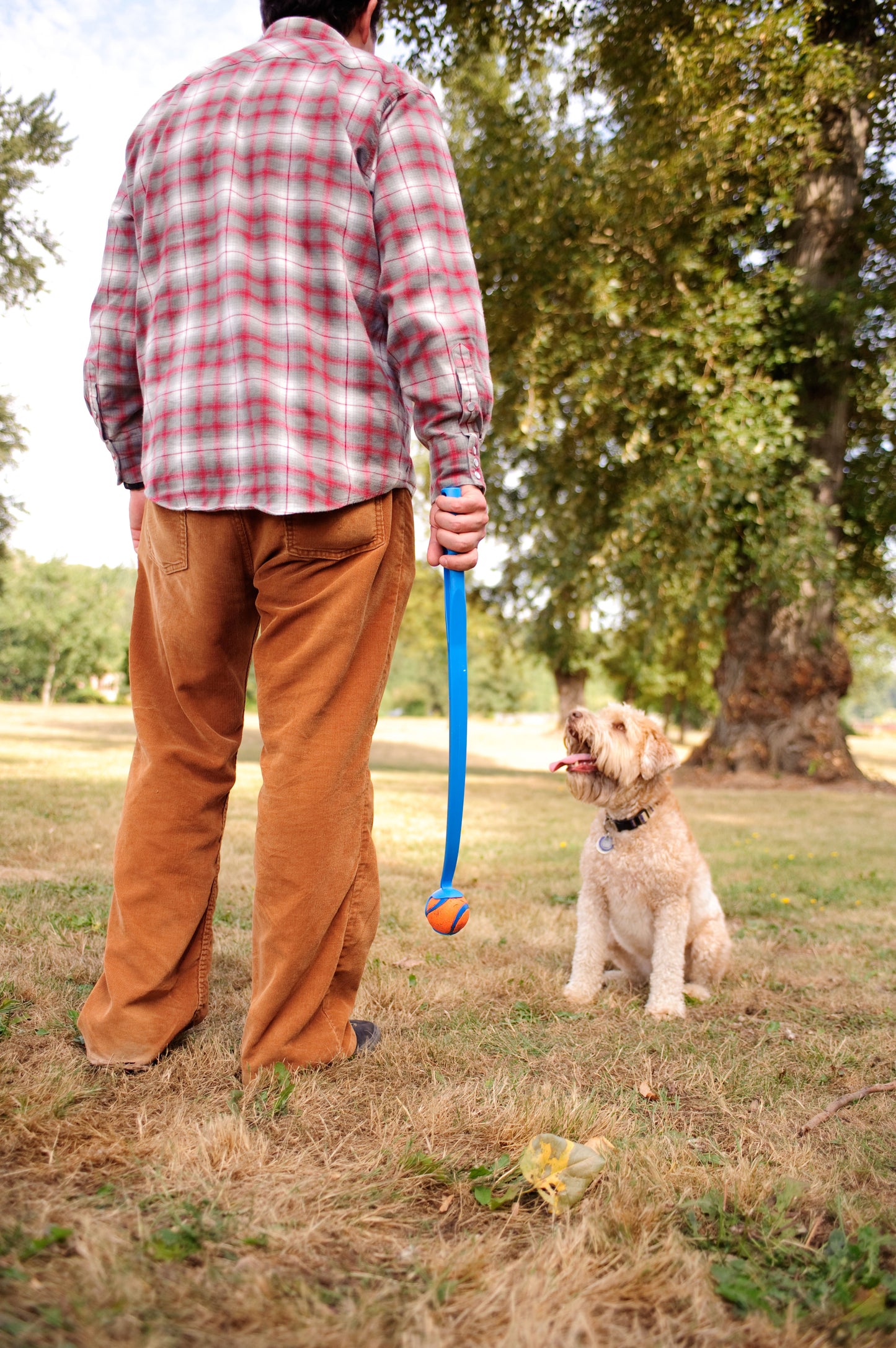 Chuckit! Ultra Ball S (2-pack)