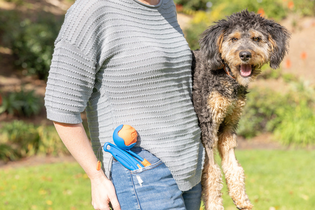 Chuckit! Fetch & Fold Launcher Mini