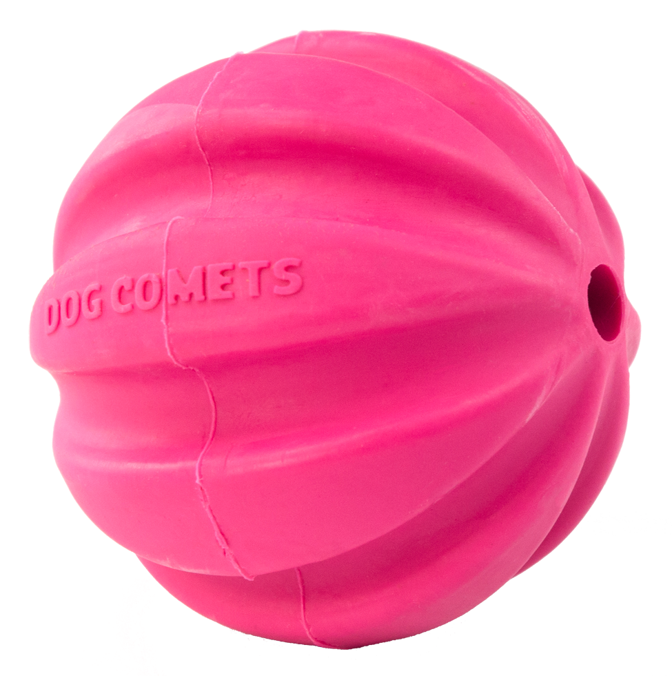 Dog Comets Halley Rosa
