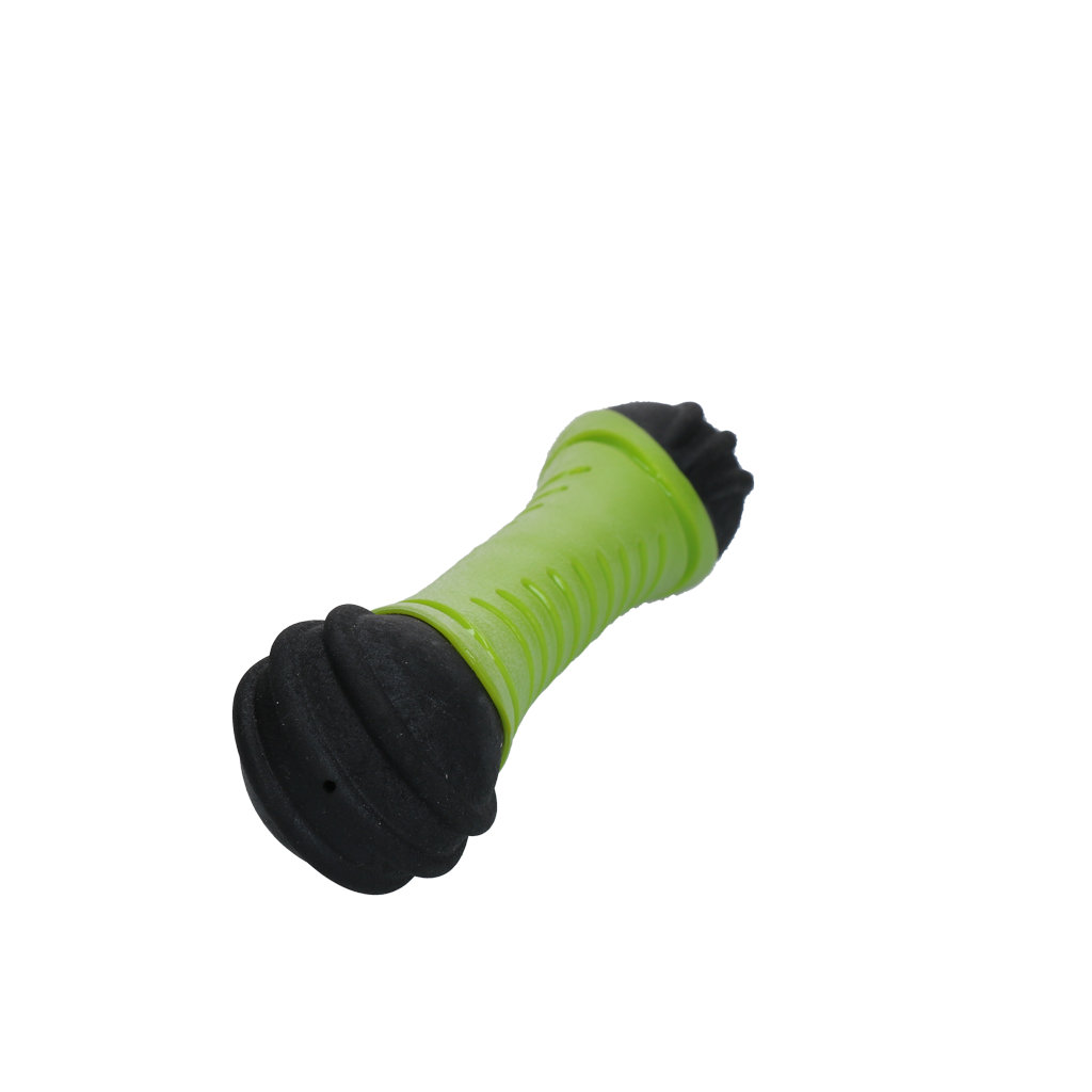 Dog Comets Asteroid Wurfstab S Grün