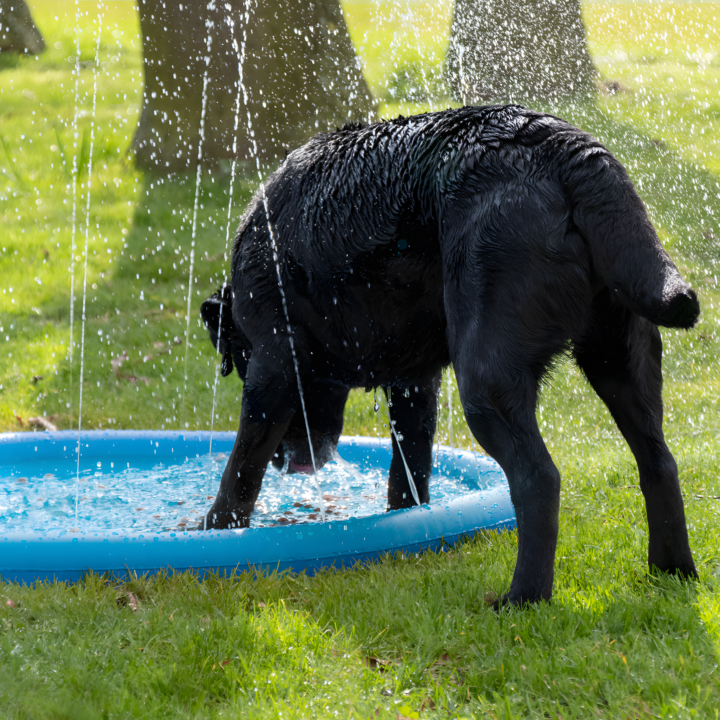 CoolPets Splash Pool Water Sprinkler 100 cm by Hoffreund