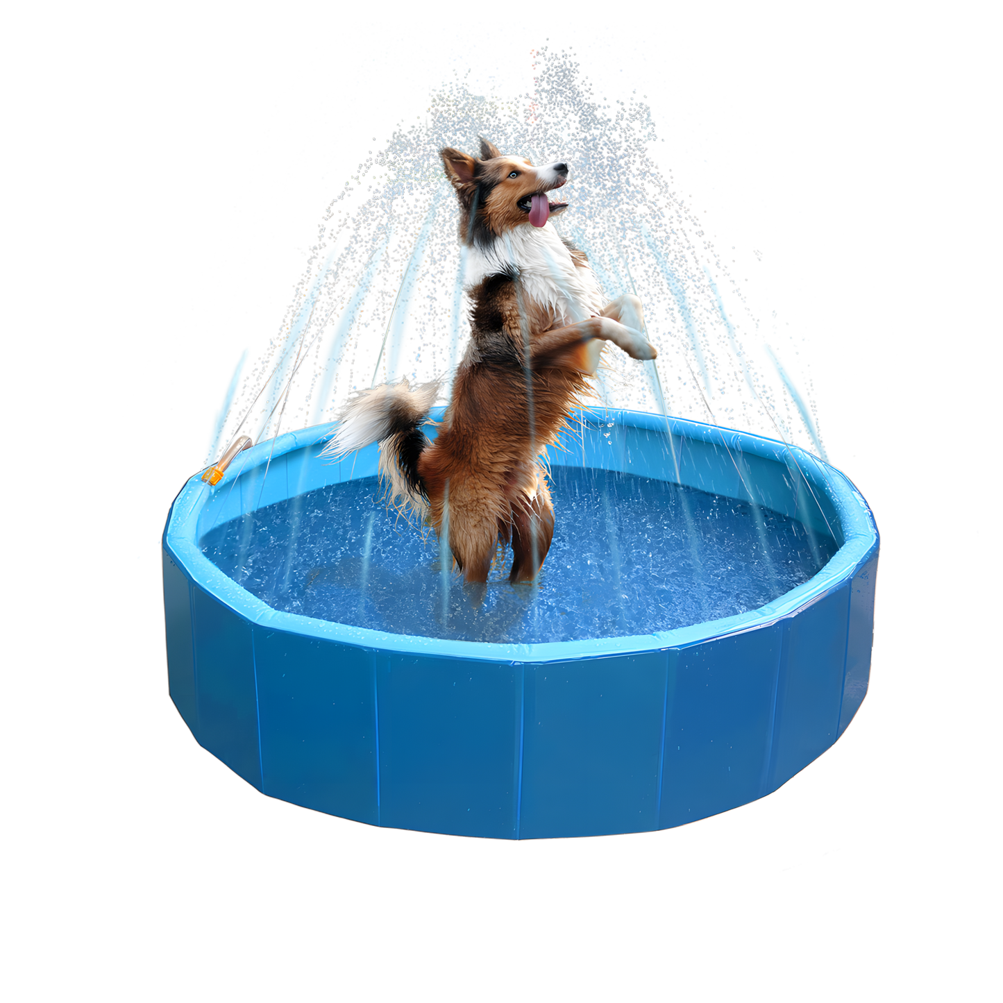 Coolpets Splash Sprinkler Pool by Hoffreund