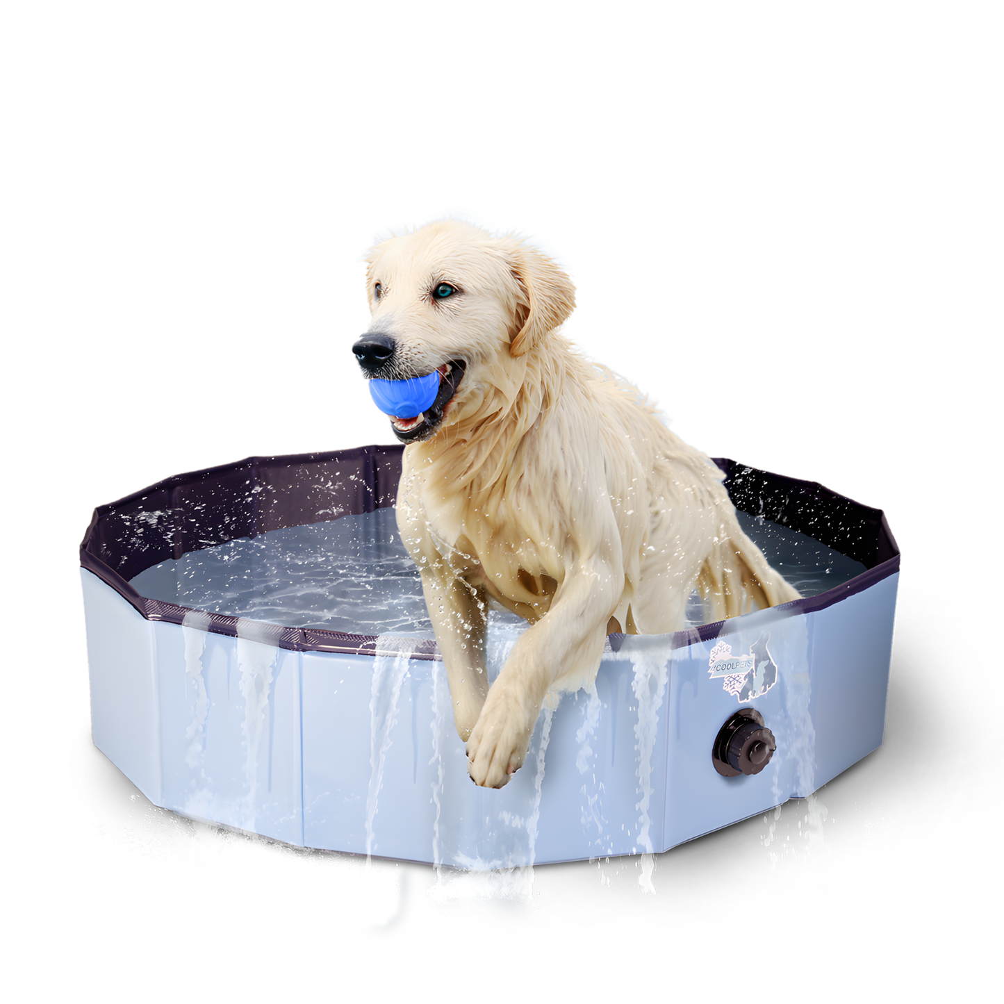 CoolPets Splash Dog Pool ø 100 x 25 cm by Hoffreund