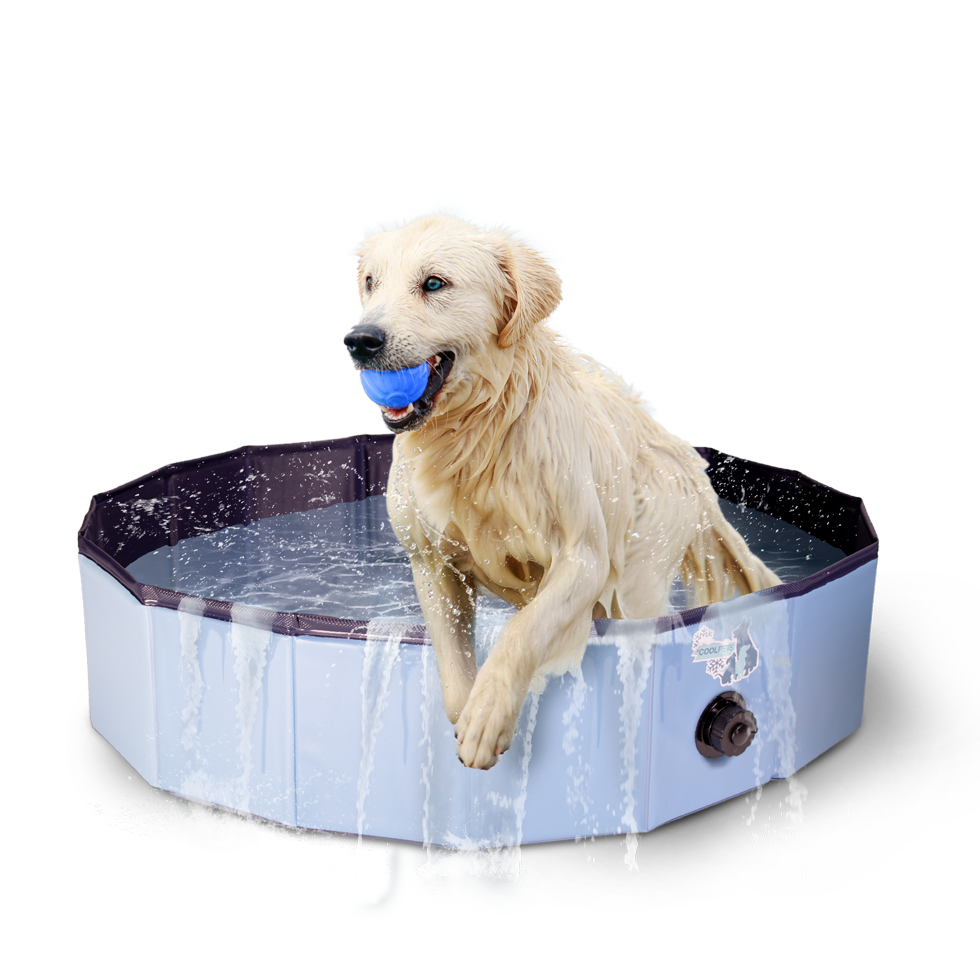 CoolPets Splash Dog Pool ø 120 x 30 cm