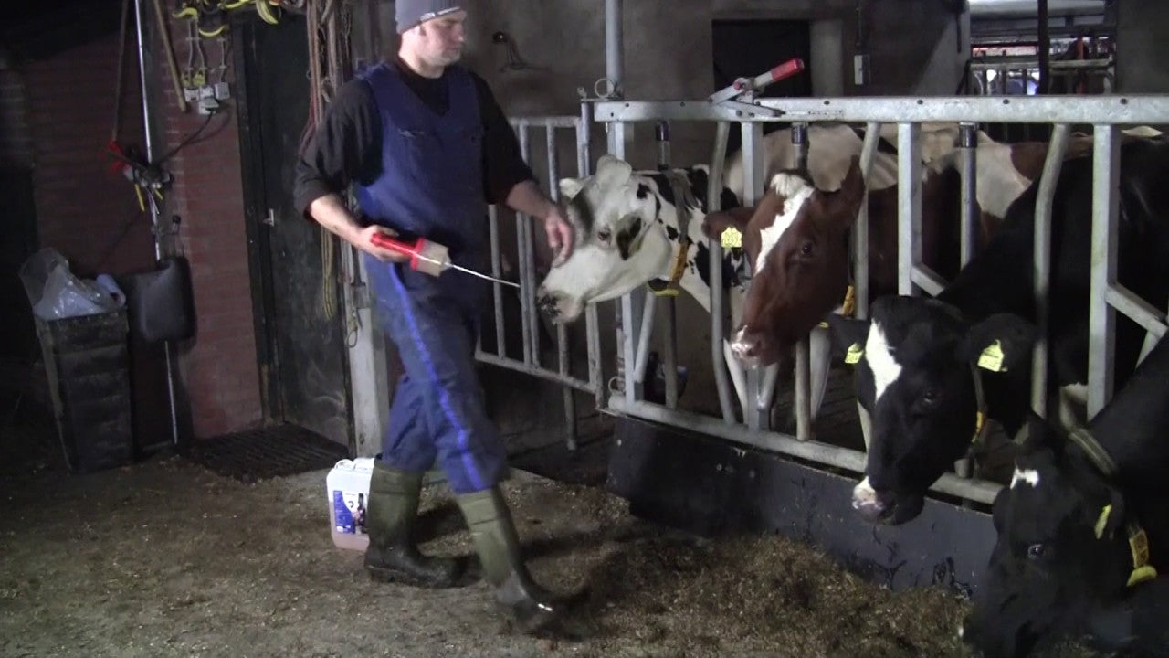 Excellent Diton 10 kg by Hoffreund