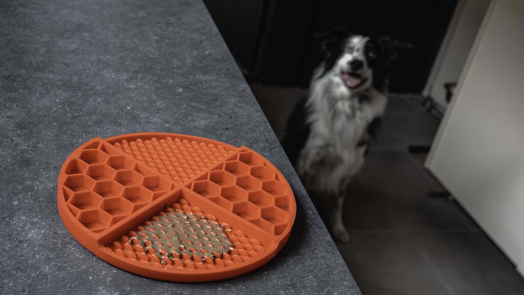 Eat Slow Live Longer Lick Mat Dimensions Circle Rot