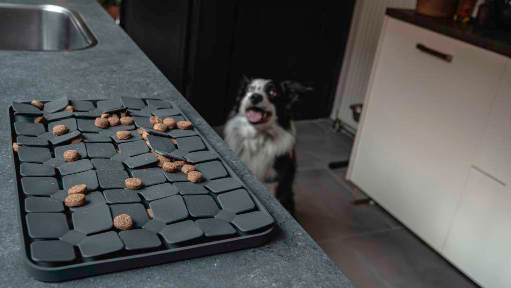 Eat Slow Live Longer Lick Mat Dimensions Flower Grau