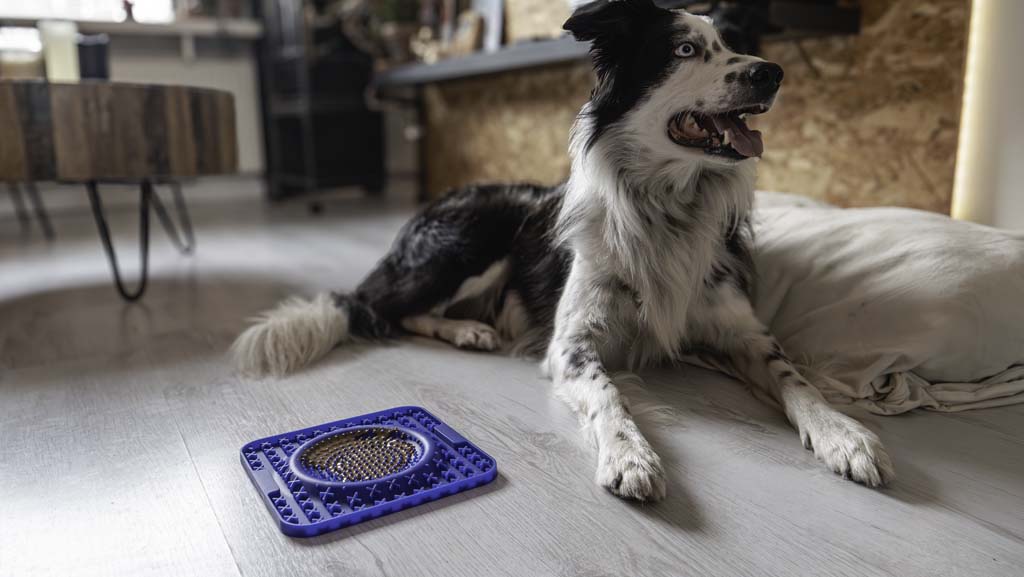 Eat Slow Live Longer Lick Mat Wave Blau