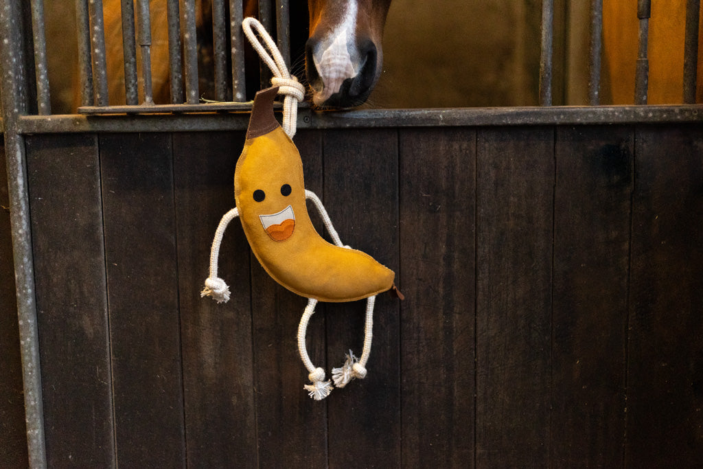 Excellent Horse Foodie Friends Banana