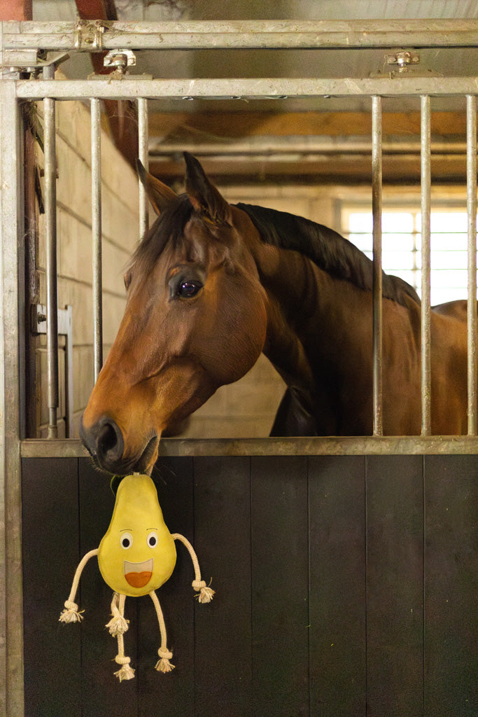 Excellent Horse Foodie Friends Pear