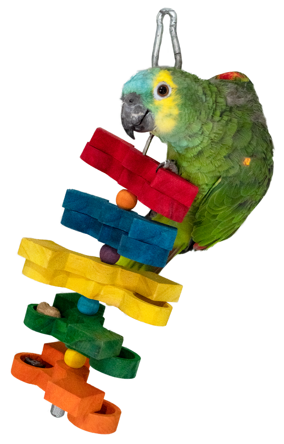 Feather World Puzzle & Treat