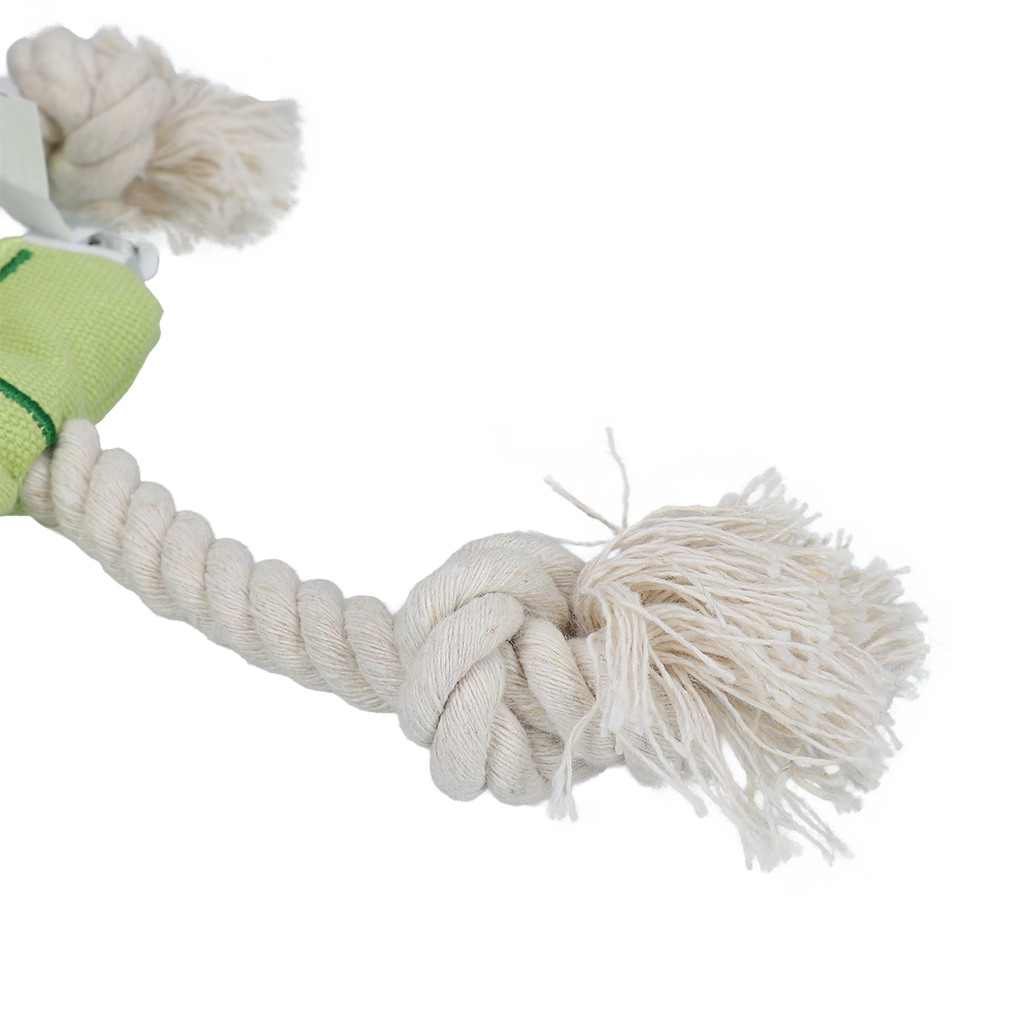 Garden Paws Scarecrow Indy Fields S