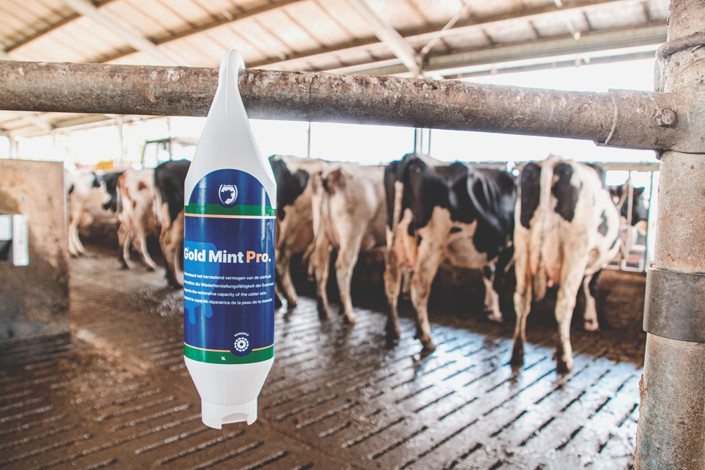 Excellent Gold Mint Pro Steh- und Hängeflasche 500 ml