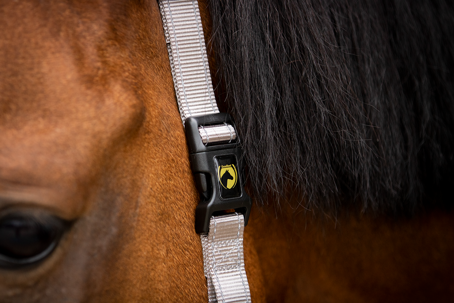 Excellent Premium Halfter Grau XS