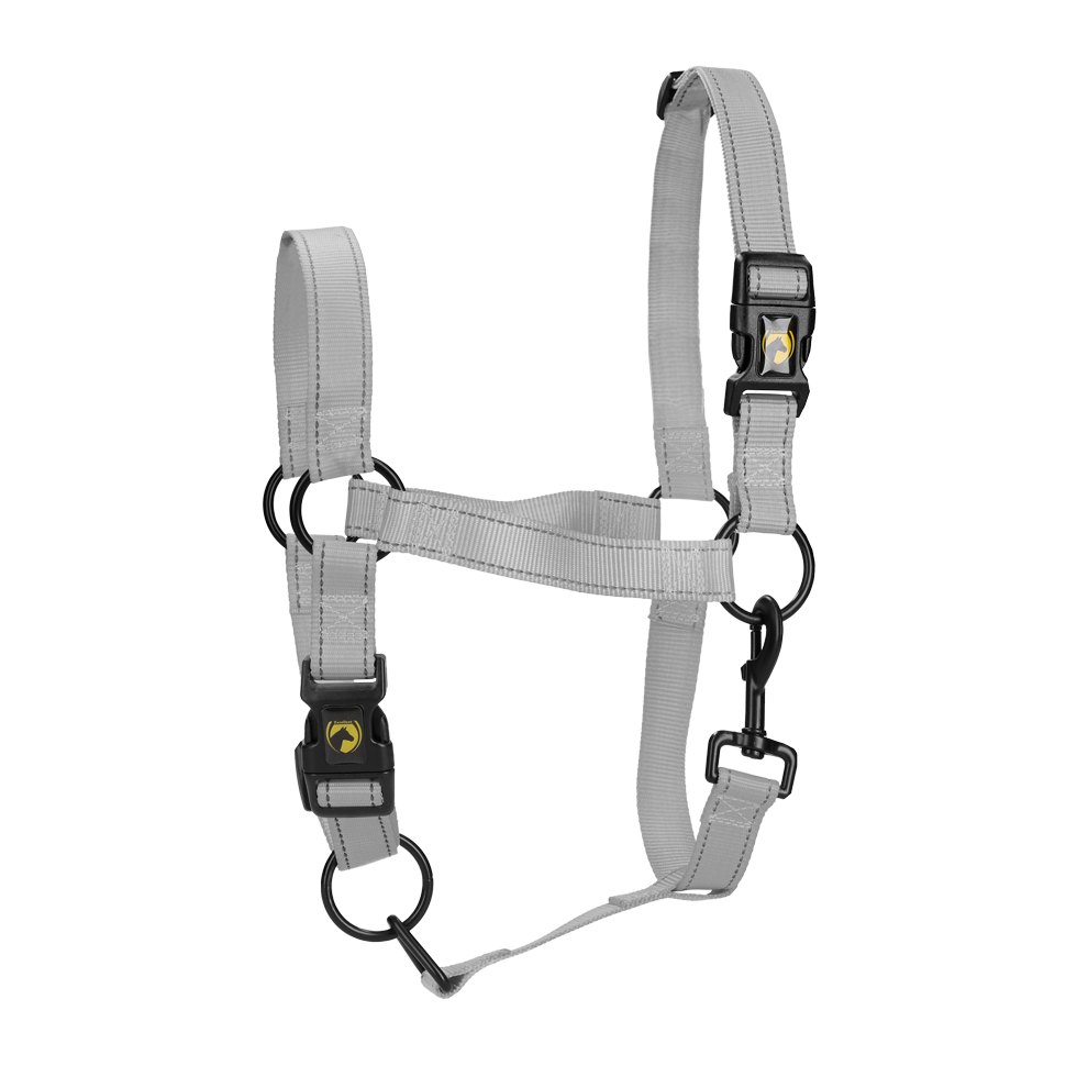 Excellent Premium Halfter Grau XL