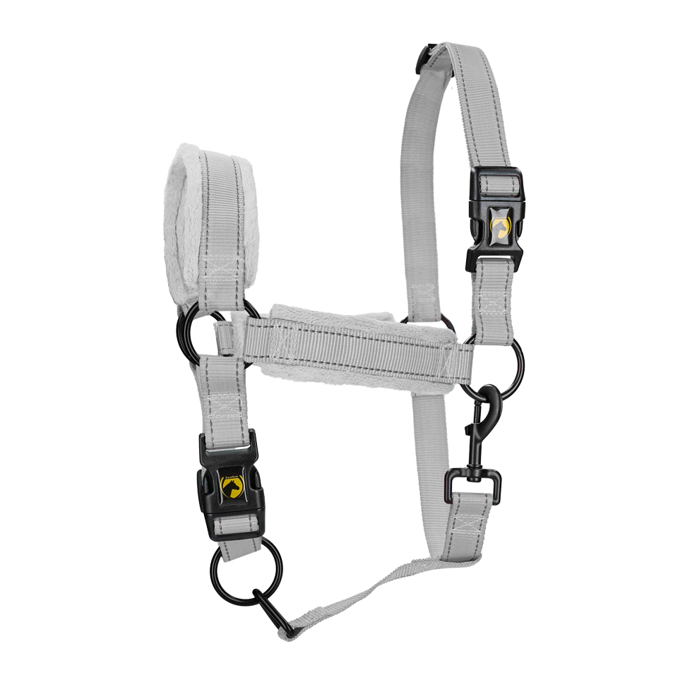 Excellent Superior Halfter Grau XL