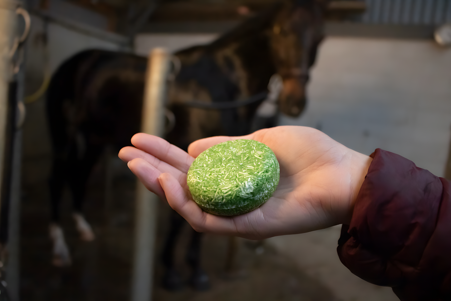 Excellent Horse Hi Gloss Shampoo Bar Aloe Vera 60 g by Hoffreund
