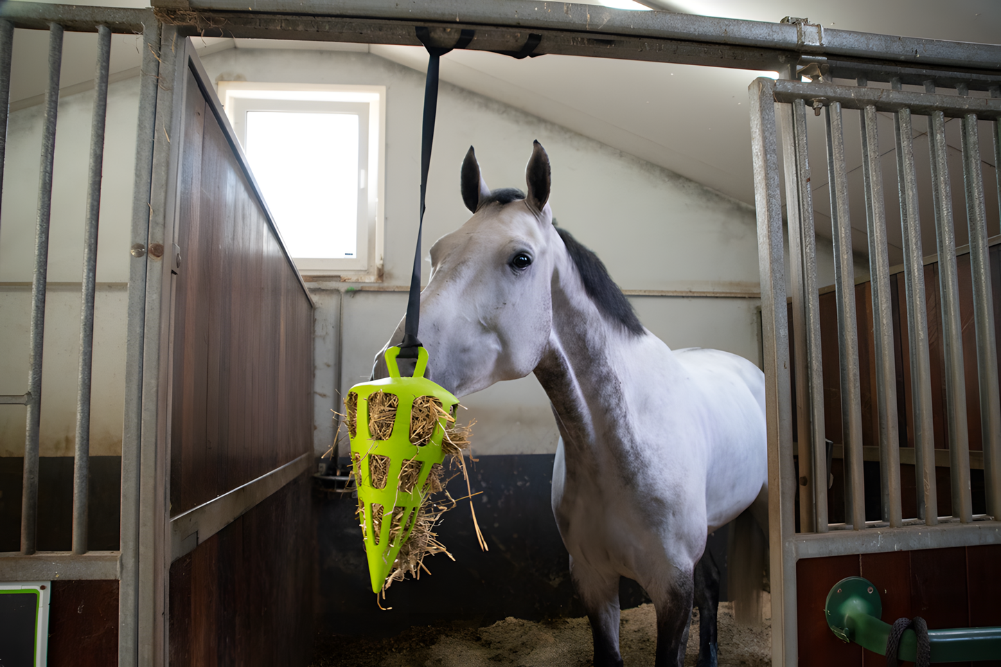 Hay Slow Feeder Fun & Flex Carrot Grün by Hoffreund