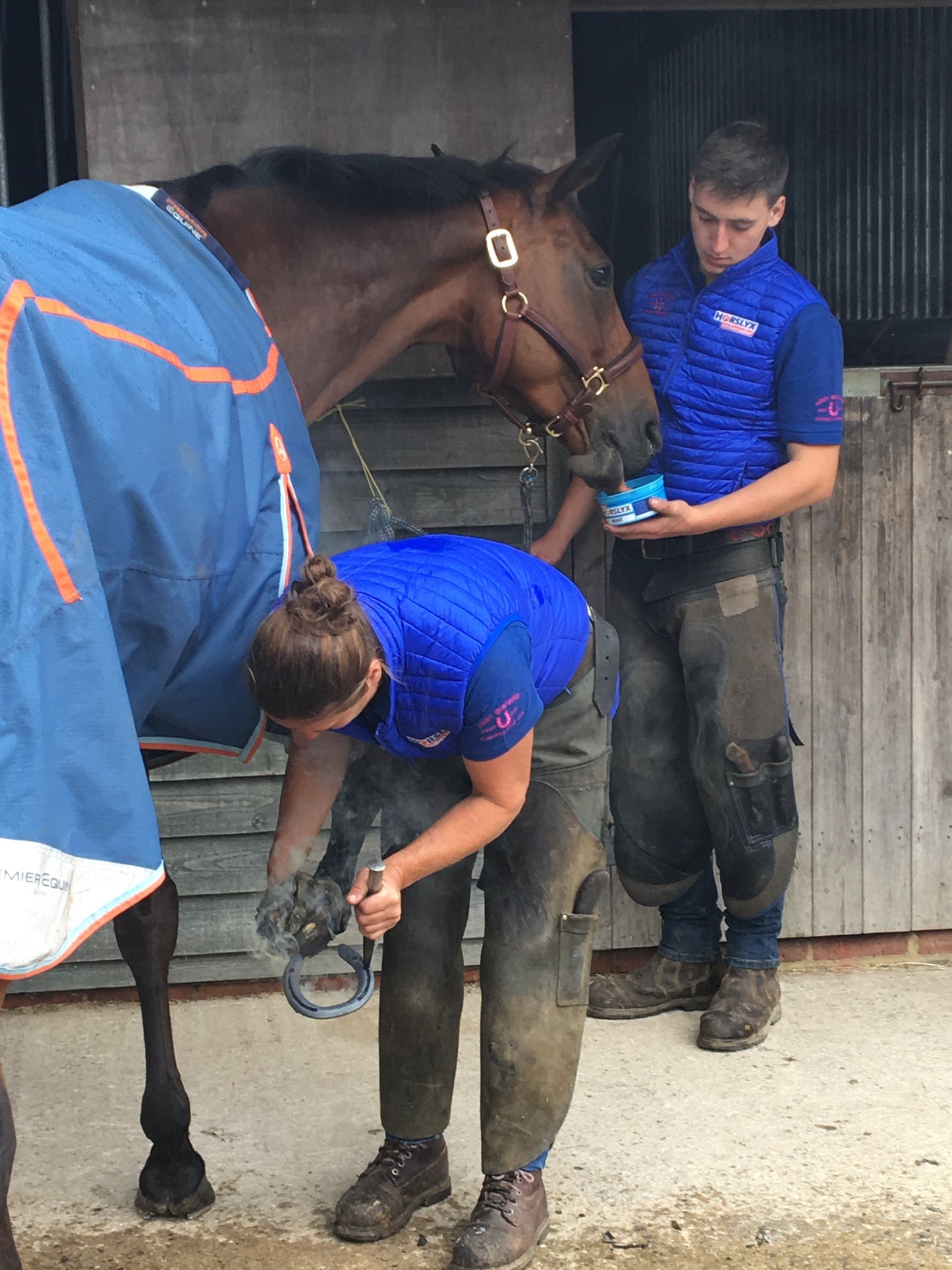 Horslyx Mini Knoblauch