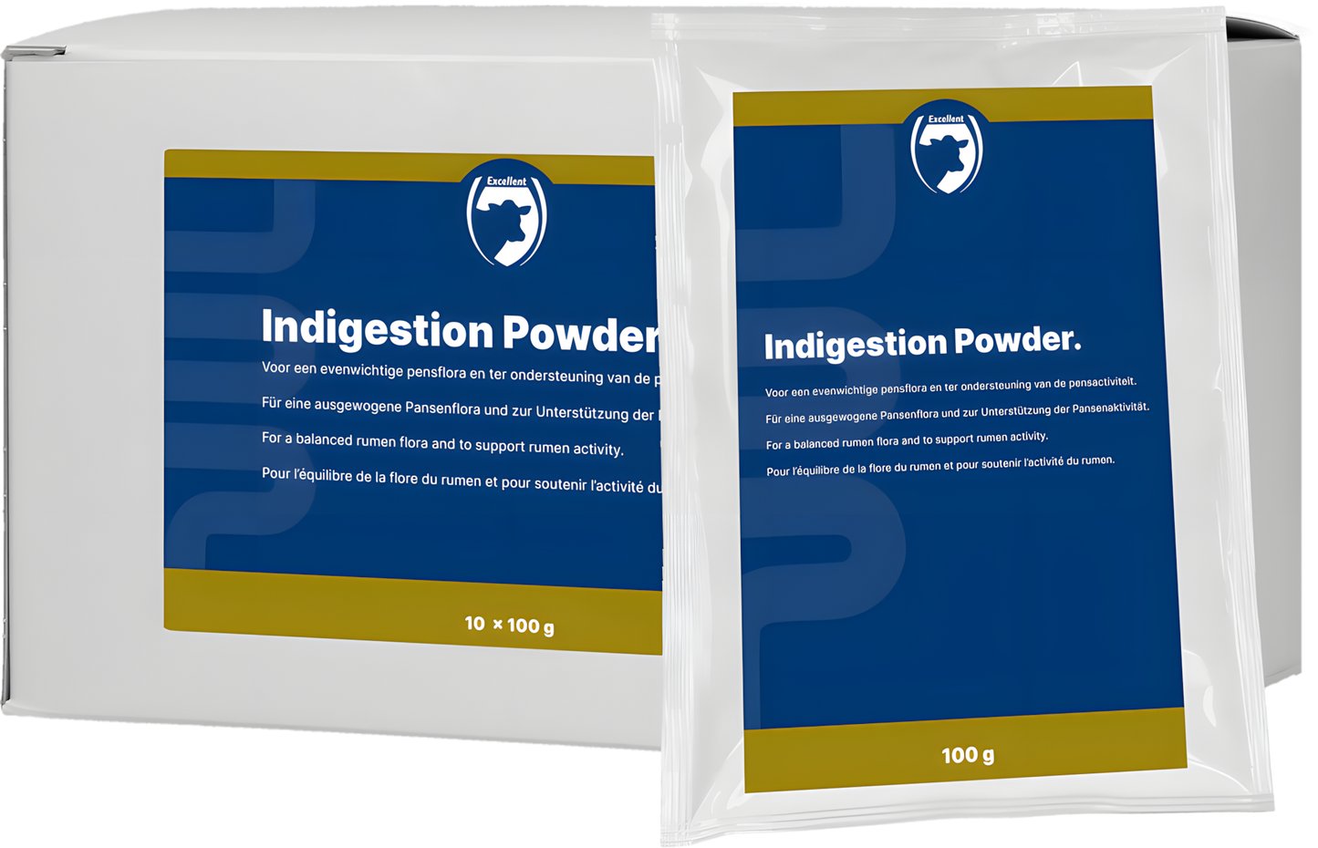Excellent Indigestion Pulver 10 x 100 g by Hoffreund