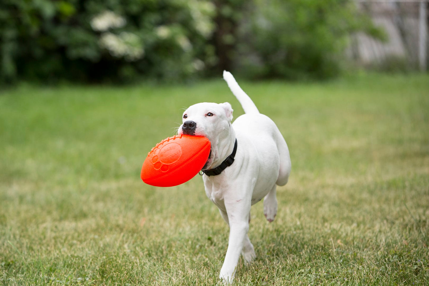 Jolly Football Vanille by Hoffreund