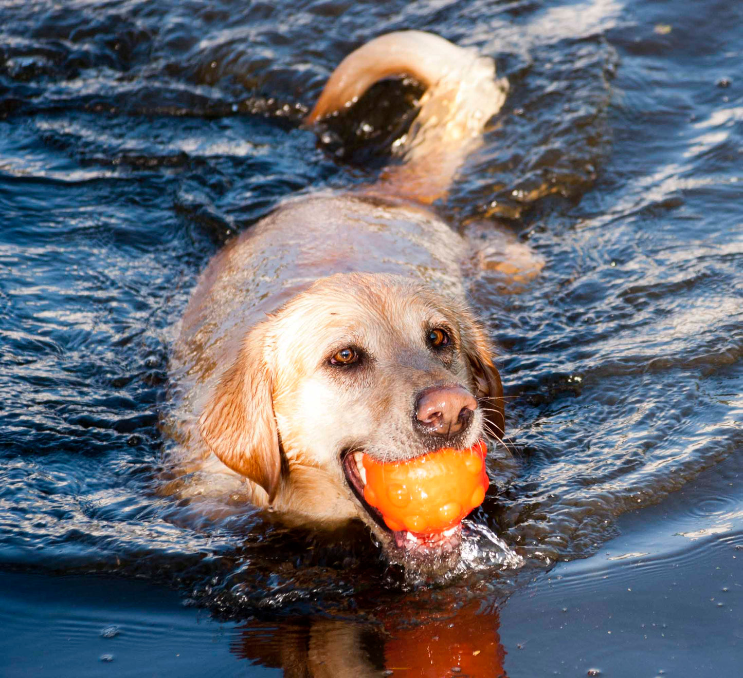 Jolly Jumper Orange S (7,6 cm)