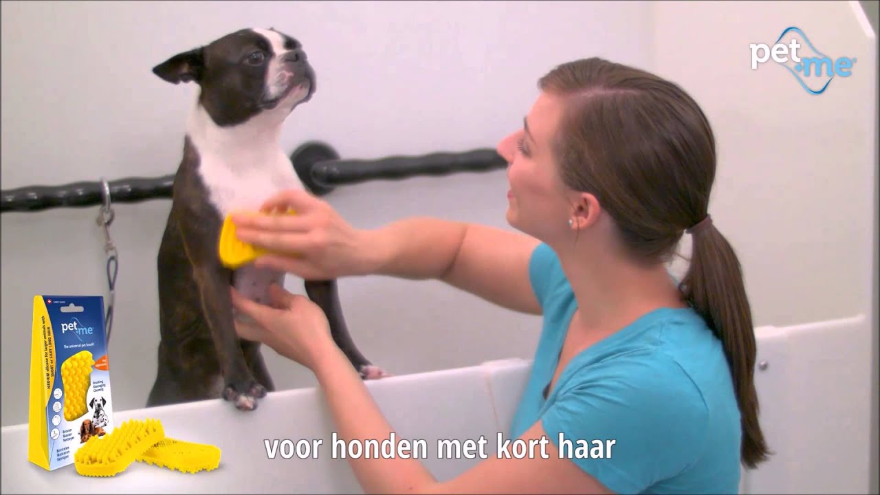 Pet+Me Dog Bürste Kurzhaar Gelb