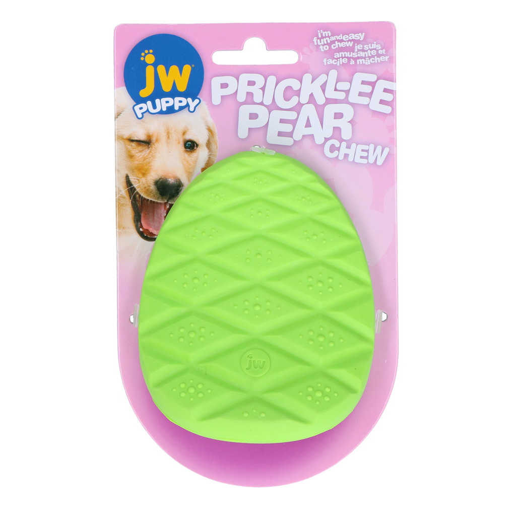 JW Puppy - Prickl-ee Pear Teether