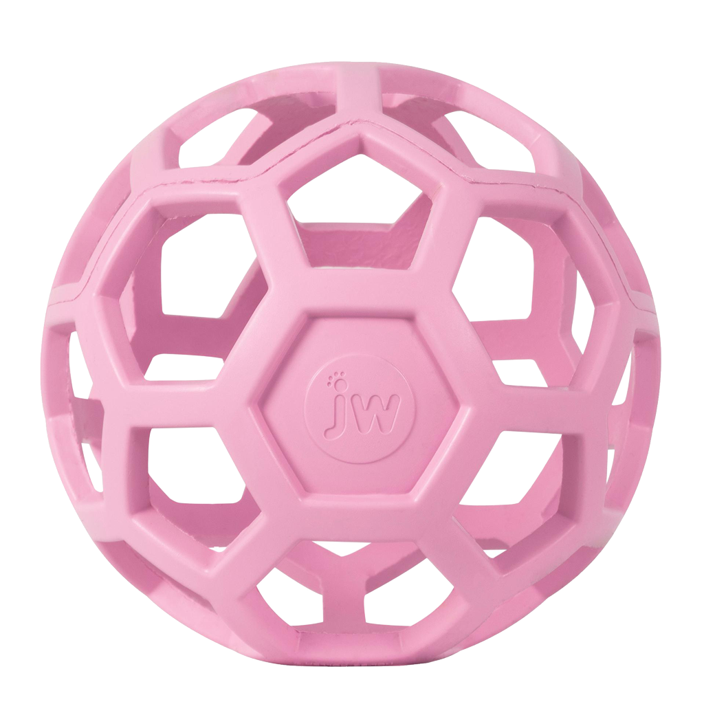 JW Hol-ee Roller Large Pink