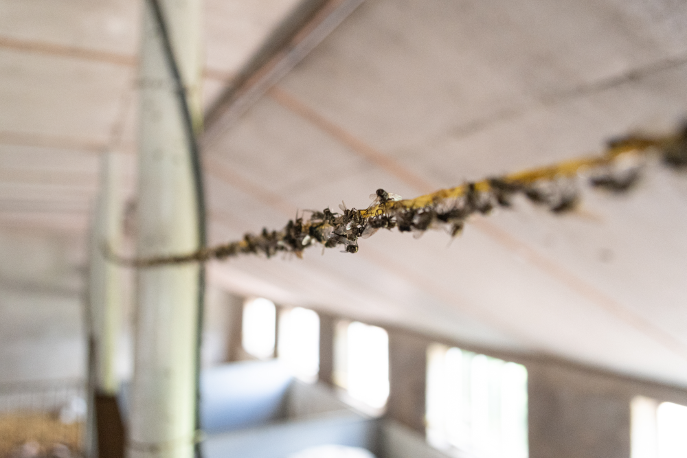 Knock Pest Fliegenschnur Ersatzrolle 400 m