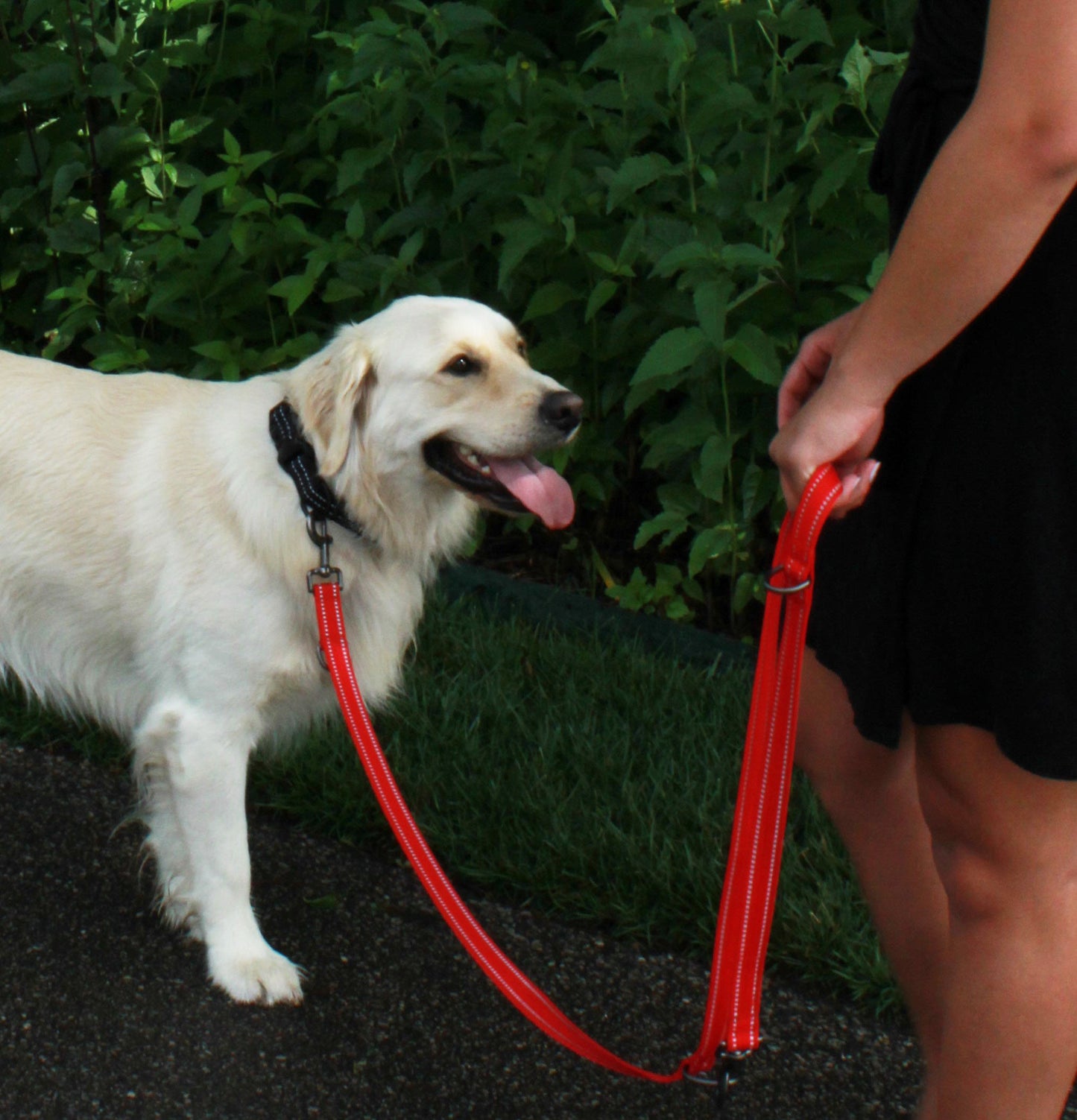 KONG Adjustable Leash Schwarz M by Hoffreund