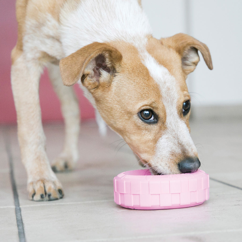 KONG Puppy Tyres Assorti M/L by Hoffreund