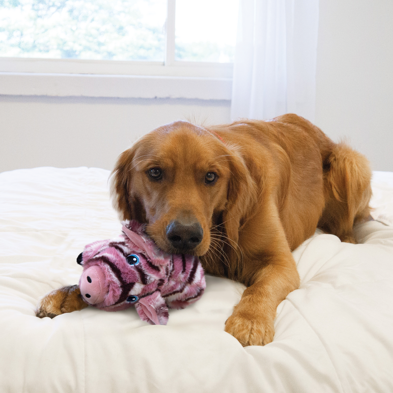 KONG Stripes Low Stuff Schwein