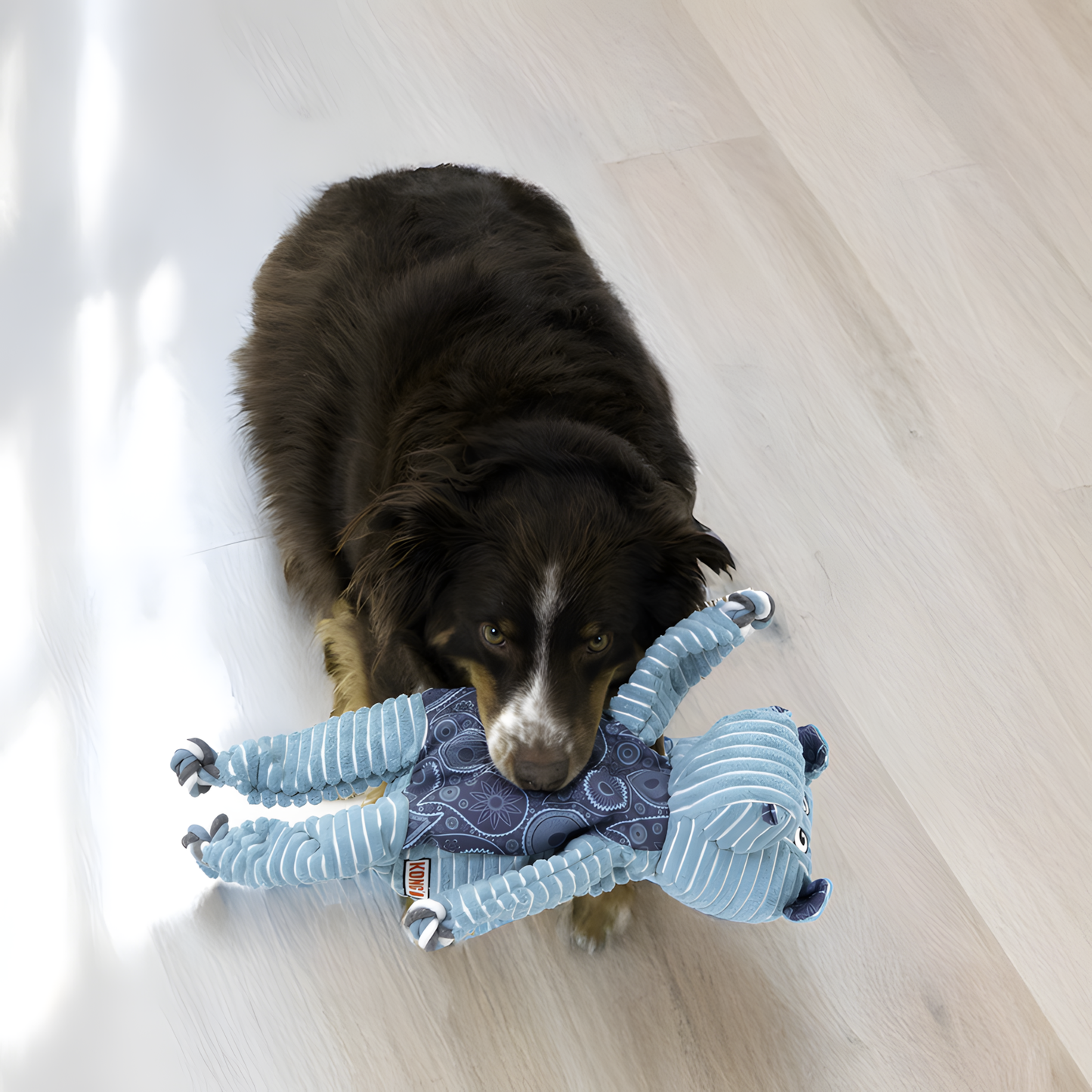 KONG Knots Floppy Hippo by Hoffreund