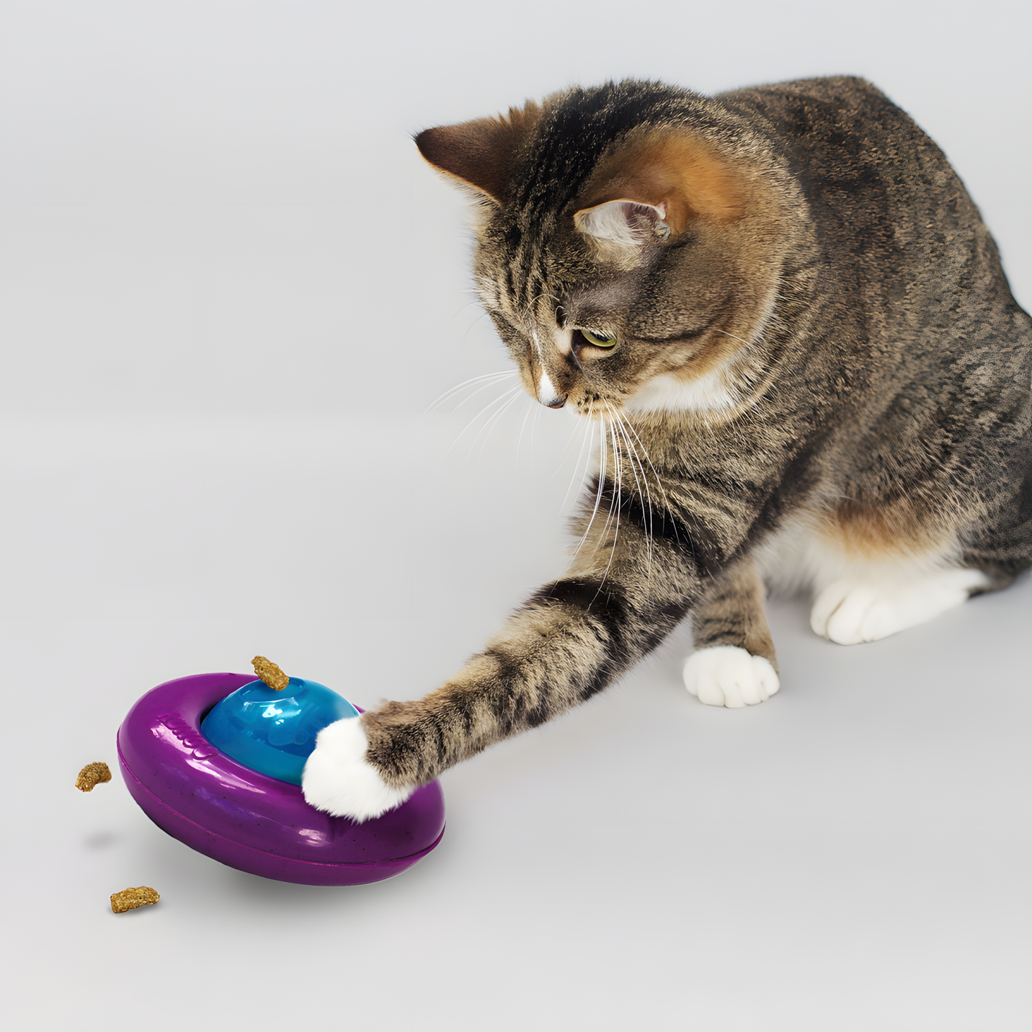 KONG Infused Cat Gyro by Hoffreund