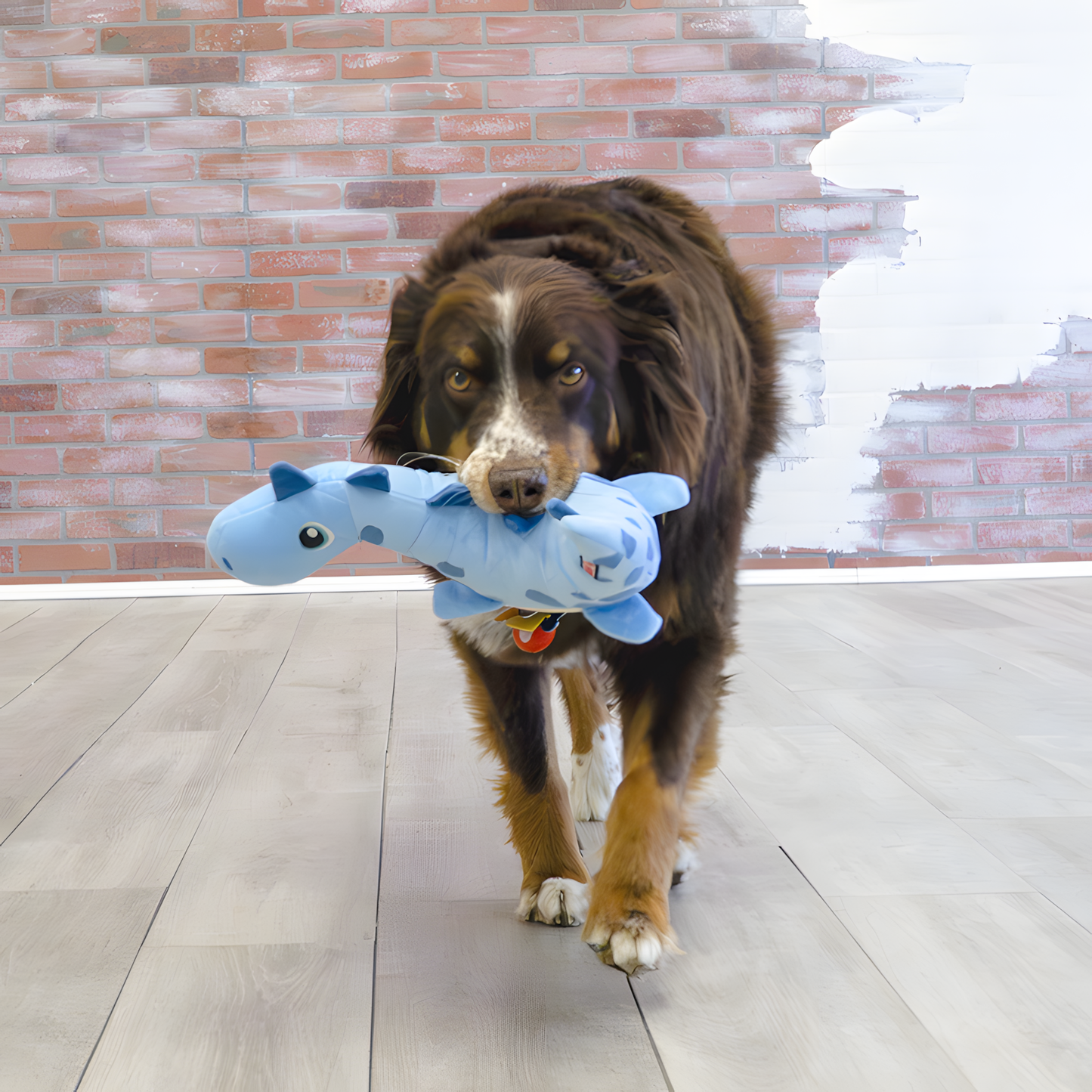 KONG Dynos Roars Blue by Hoffreund