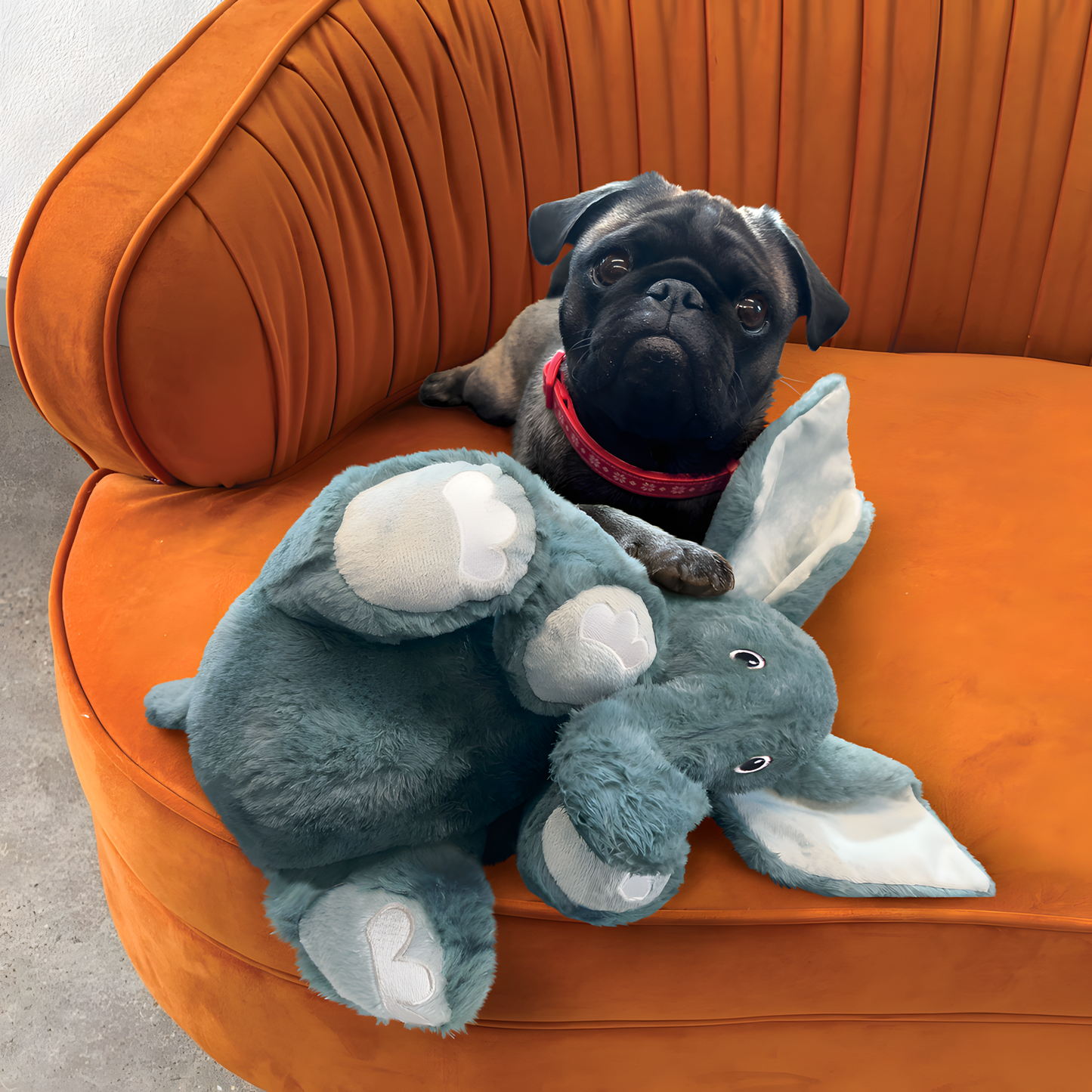 KONG Comfort Kiddos Elefant XL by Hoffreund