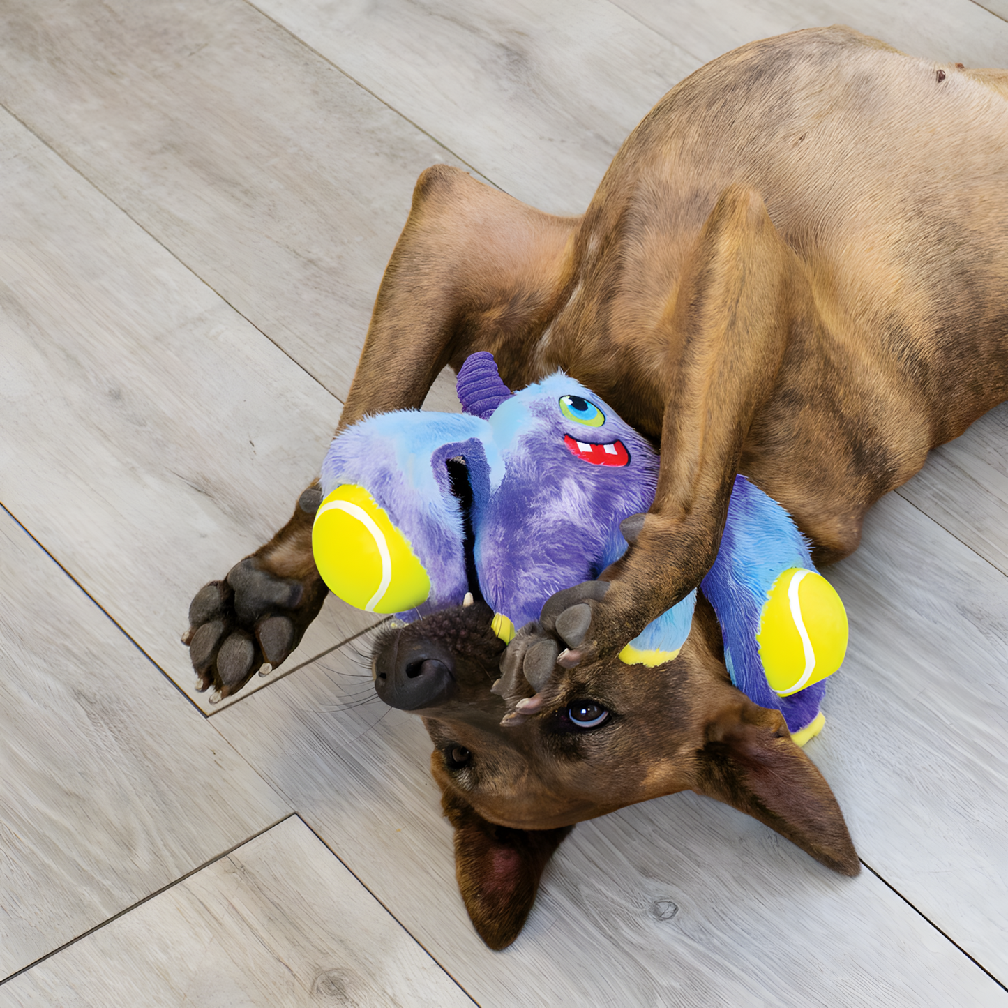 KONG Woozles Monster Assorted by Hoffreund
