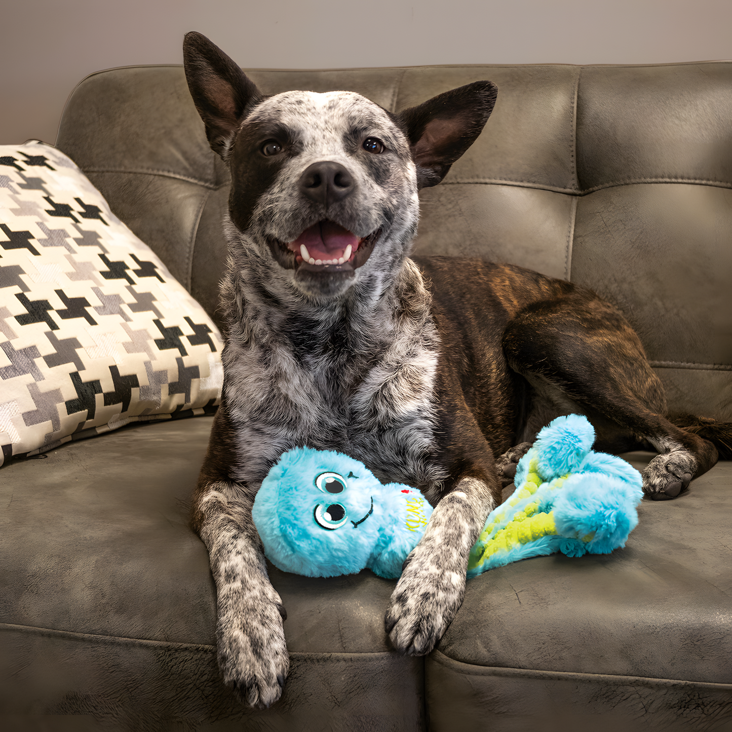 KONG Wubba Octopus Assorti S by Hoffreund