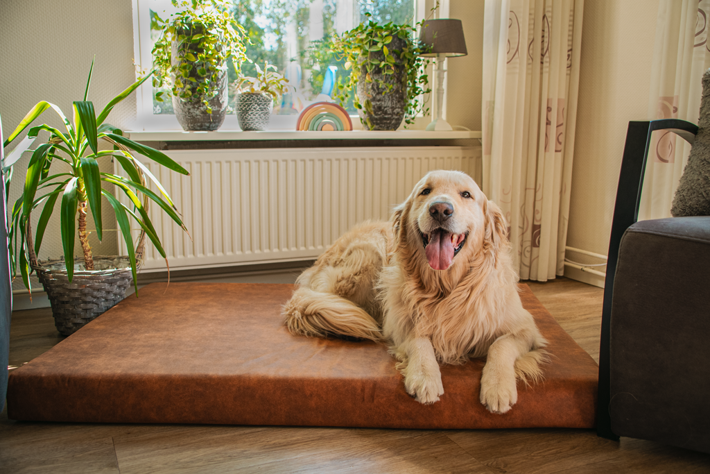 Let's Sleep Mellow Mattress Orthopädisches Bett L Taupe by Hoffreund