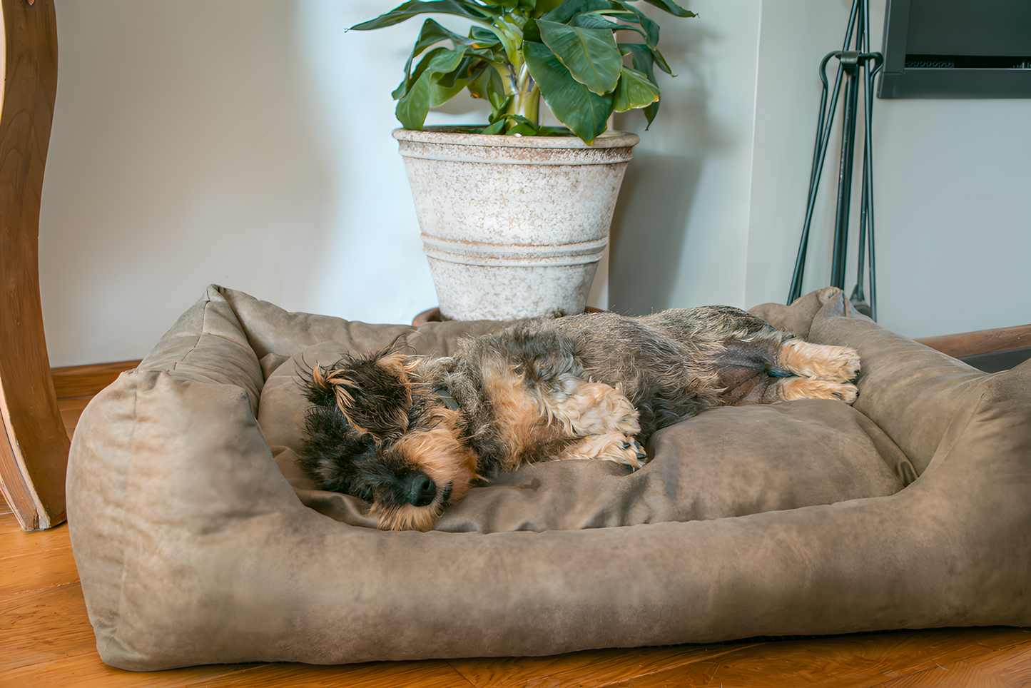 Let's Sleep Sweet Dreams Hundekorb Mit Kissen XL Cognac by Hoffreund